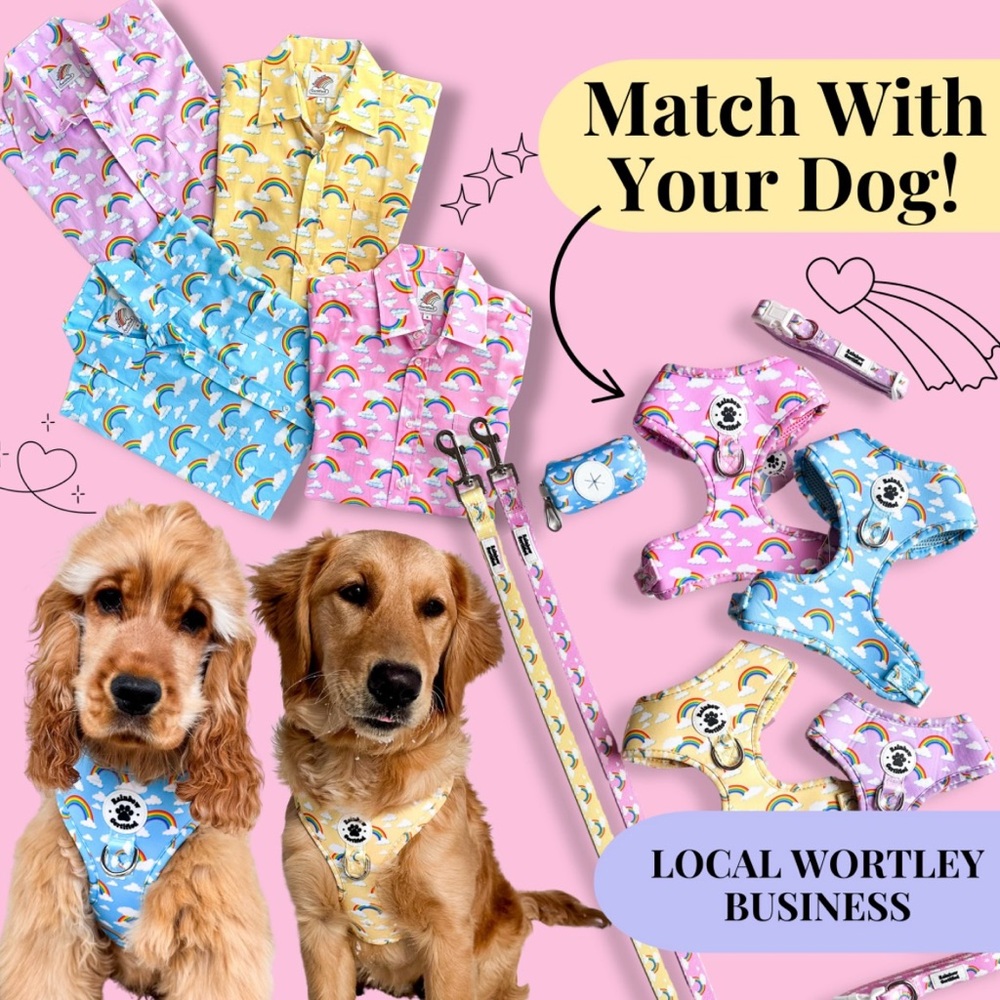 Rainbow Pastel Dog Harness and Leash Set